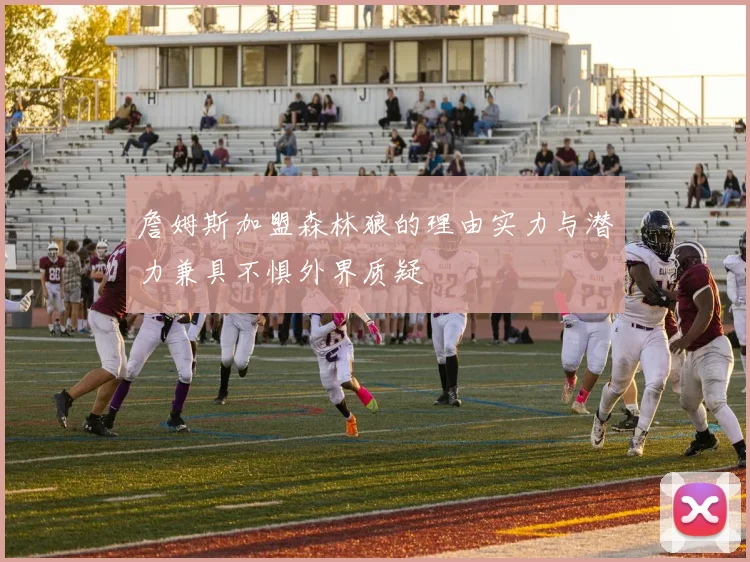 詹姆斯加盟森林狼的理由实力与潜力兼具不惧外界质疑