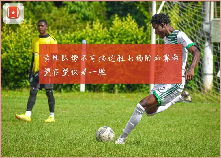 黄蜂队势不可挡连胜七场附加赛希望在望仅差一胜